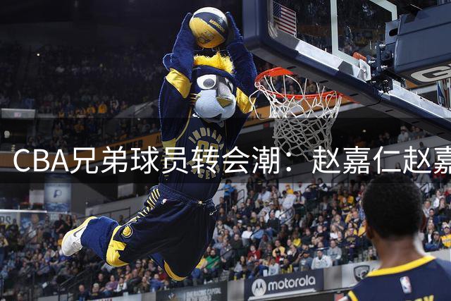 CBA兄弟球员转会潮：赵嘉仁赵嘉义今夏双双改换门庭